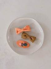 Load image into Gallery viewer, Pumpkin Spice  (3 piece set clips)