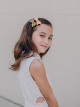 Load image into Gallery viewer, Pumpkin Spice  (3 piece set clips)